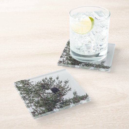 バルトイーグルP2825 ガラスコースター (アングル)