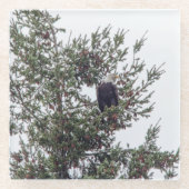 バルトイーグルP2825 ガラスコースター (正面)