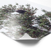 バルトイーグルP2825 フォトプリント            (角)