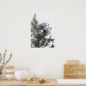 バルトイーグルP2825 ポスター (キッチン)