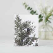 バルトイーグルP2825 ポストカード (スタンド正面)