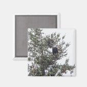 バルトイーグルP2825 マグネット (正面/裏面)