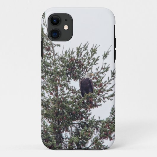 バルトイーグルP2825 Case-Mate iPhoneケース (裏面)