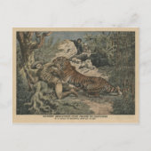 バルトエレミ侯爵が虎に負傷した ポストカード (正面)