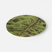 バルトヒプレスブランチ ペーパープレート (アングル)