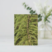 バルトヒプレスブランチ ポストカード (スタンド正面)