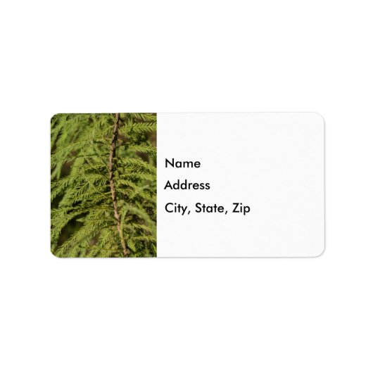 バルトヒプレスブランチ ラベル (正面)