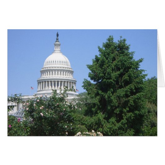 バルトルディ公園から見たアメリカ国会議事堂 (正面横)
