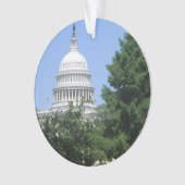 バルトルディ公園から見たアメリカ国会議事堂 オーナメント (正面)