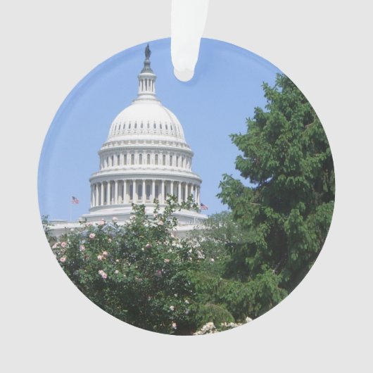 バルトルディ公園から見たアメリカ国会議事堂 オーナメント (正面)