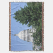 バルトルディ公園から見たアメリカ国会議事堂 スローブランケット (正面縦)
