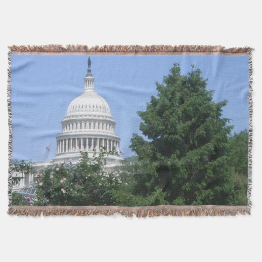 バルトルディ公園から見たアメリカ国会議事堂 スローブランケット (正面)