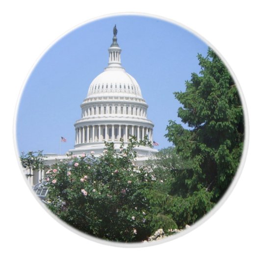 バルトルディ公園から見たアメリカ国会議事堂 セラミックノブ (正面)