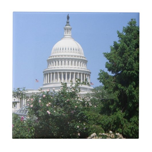 バルトルディ公園から見たアメリカ国会議事堂 タイル (正面)
