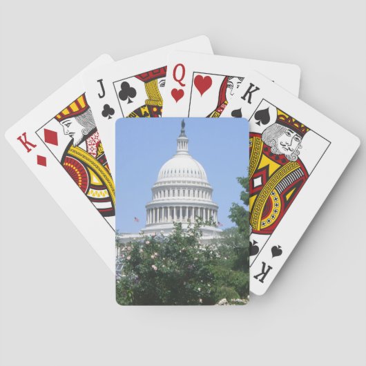 バルトルディ公園から見たアメリカ国会議事堂 トランプ (裏面)