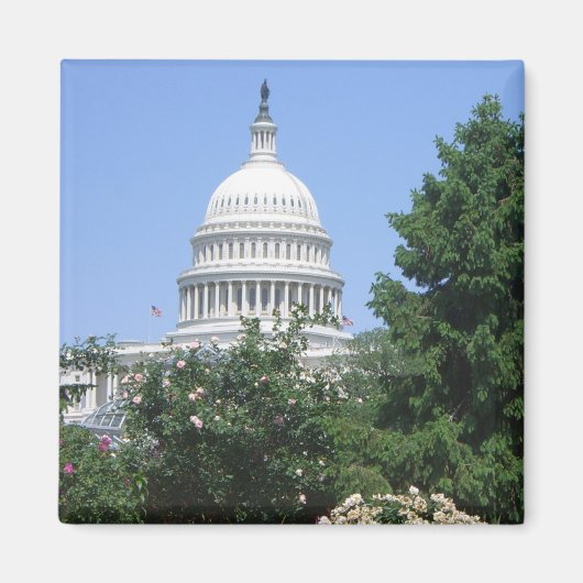バルトルディ公園から見たアメリカ国会議事堂 マグネット (正面)