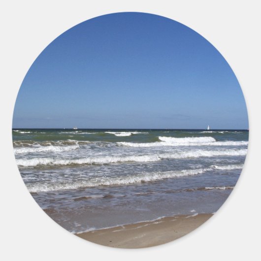 バルト海のシール ラウンドシール (正面)