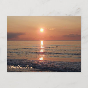 バルト海の美しい夕日フォトポストカード ポストカード