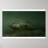 バルト海奇形2012 ポスター (正面)