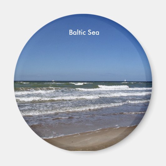 バルト海磁石 マグネット (正面)