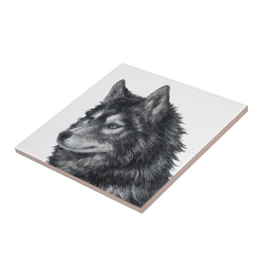 バルト犬 タイル (側面)