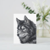 バルト犬 ポストカード (スタンド正面)