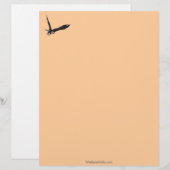 バルドイーグルクールワイルドライフコレクション レターヘッド (正面/裏面)