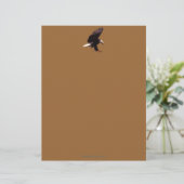 バルドイーグルクールワイルドライフコレクション レターヘッド (スタンド正面)