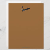 バルドイーグルクールワイルドライフコレクション レターヘッド (正面/裏面)