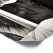 バルドイーグルピース自然プレーリースケッチスケッチ ポスター (角)