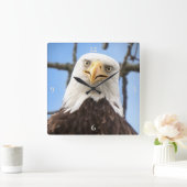 バルドイーグル顔おもしろいファインアート写真 スクエア壁時計 (ホーム)