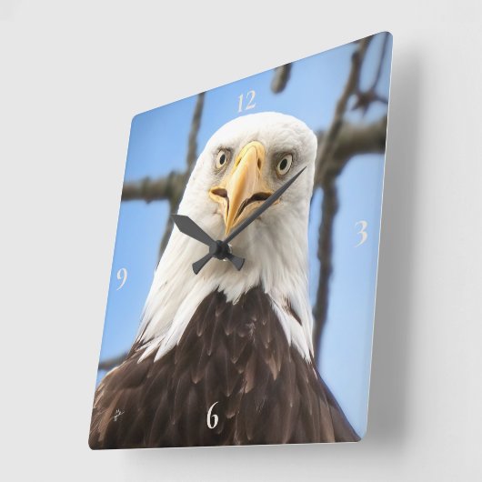 バルドイーグル顔おもしろいファインアート写真 スクエア壁時計 (傾斜)