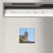 バルドモッサ磁石 マグネット (インサイチュ (食洗機))