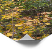 バルドリバー滝 ポスター (角)