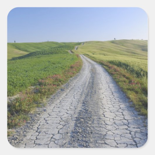 バルドルシアの野原と丘陵を抜ける未舗装の道路。 スクエアシール (正面)