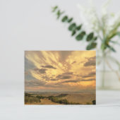 バルドルシアポストカード ポストカード (スタンド正面)