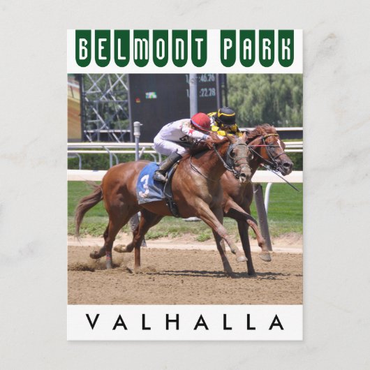 バルハラ ポストカード (正面)