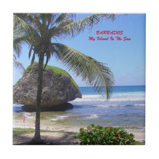 バルバドスのテーマのセラミックタイル タイル