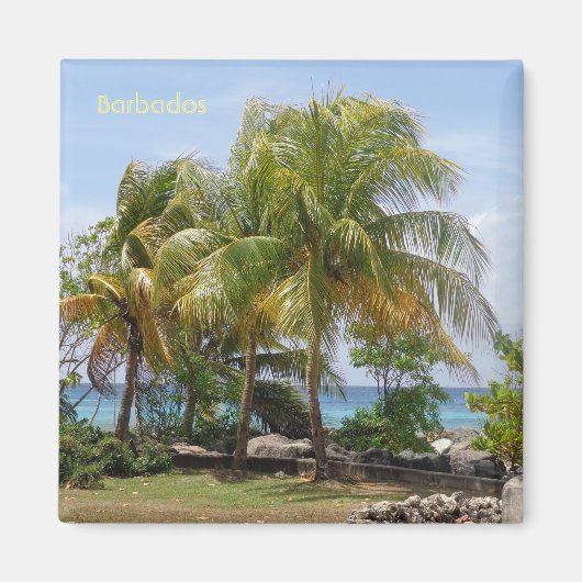 バルバドスの手のひらの磁石 マグネット (正面)