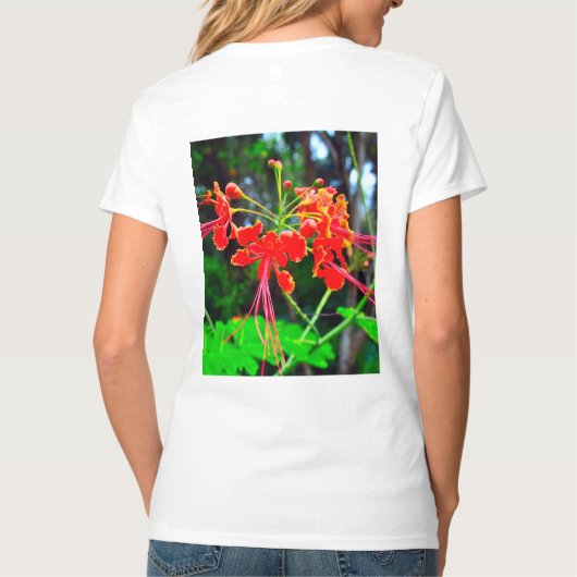 バルバドスの誇り Tシャツ (裏面)