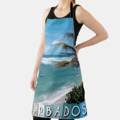 バルバドスビーチ エプロン (インサイチュ)