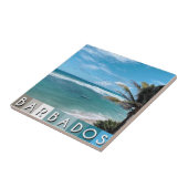 バルバドスビーチ タイル (側面)