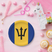 バルバドス国旗のプレート、パーティー、スポーツ、バルバドス ペーパープレート (パーティー)