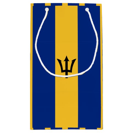 バルバドス国旗の抱き枕 スモールペーパーバッグ (裏面)