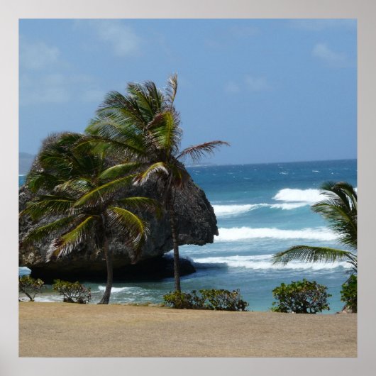 バルバドス美しい ポスター (正面)