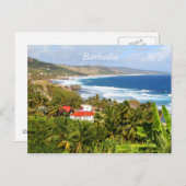 バルバドス葉書、海、熱帯樹 ポストカード (正面/裏面)
