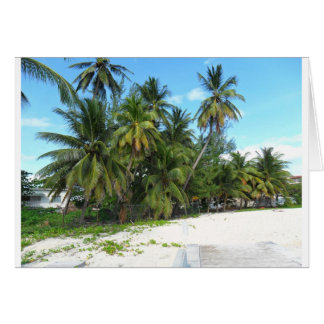 バルバドス2010 279