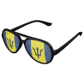 バルバドス アビエーターサングラス (アングル)