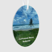 バルバドス・カトレウォッシュビーチ オーナメント (正面)