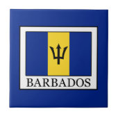 バルバドス タイル (正面)